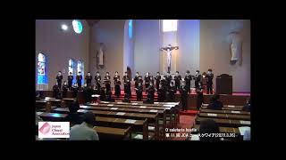 O salutaris hostia (The 11th JCA Youth Choir)