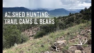 AZ Shed Hunting 2019: Trail Cams & Bears