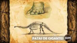 Patas de Gigantes | Informe Jurasico