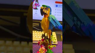 LEGO EXOTIC PARROT 31136 #lego #cute  #parrot #legocreator #review