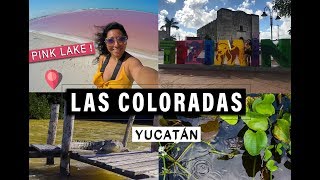 Las Coloradas y Río Lagartos: ¡QUÉ HACER Y COMO LLEGAR! / Yucatán, México HD