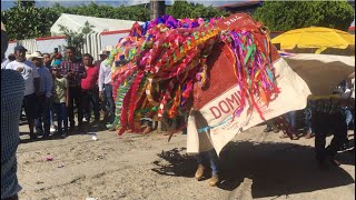 07 De Octubre 2022. Toro De Petate - Santa María Asunción Gro