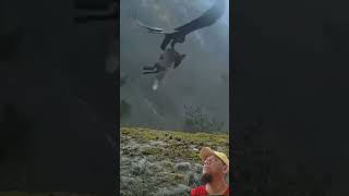 eagle's claw#shorts#kidsvideo #animals#wild #wildlife #eagles #hunting#nature#shortsvideo#mountains