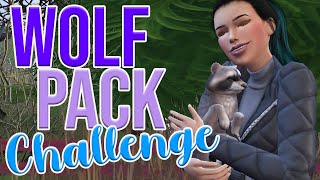 Setting up 🥰| The Wolf Pack Challenge