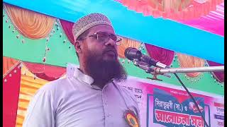 সিরাতুন্নবী (সা.) ও আলোচনা সভা || 07/10/2024 ||  jamat islam || Madaripur