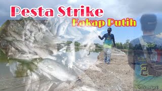 PESTA STRIKE IKAN KAKAP ||casting barramundi