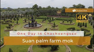 [4K] 🇹🇭 Suan palm farm mok, Chachoengsao, Thailand