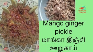 Mango ginger (curcuma Amada)/மாங்கா இஞ்சி ஊறுகாய்/entertain everyone