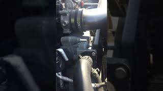 Hemi water pump squeal?