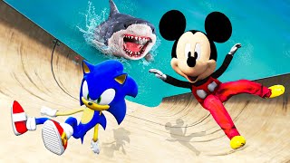 Mickey Mouse VS Sonic Water Ragdoll & Fails in GTA 5 (Funny) #10