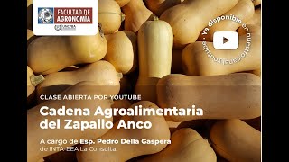 13 - “Cadena Agroalimentaria Zapallo Anco” - Esp. Pedro Della Gaspera