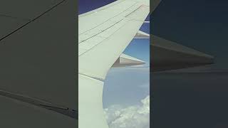 Boeing 787 Wingflex during Heavy Turbulence