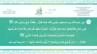 حديث ٢م ف٣ ( مَنْ فَجَعَ هَذِهِ بِوَلَدِهَا رُدُّوا وَلَدَهَا إِلَيْهَا ) _