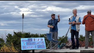 Miller State Park Raptor Observatory