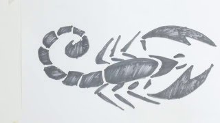 How to draw scorpion tribal tattoo