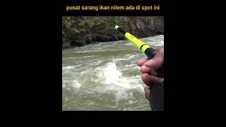 Pusat nya sarang ikan nilem ada di spot ini.!! #nutulnilem #nutulmelem #shorts #shortvideo #short