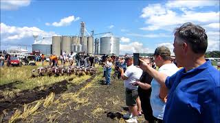 6hp Advance Steam Engines Triple Header Plowing!