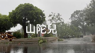 山陀兒重創南部｜所在地屏東中山公園｜大家平安#taiwan #颱風#紀錄片