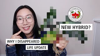 Ecuagenera NEW Hybrid Anthurium Unboxing + Life Update