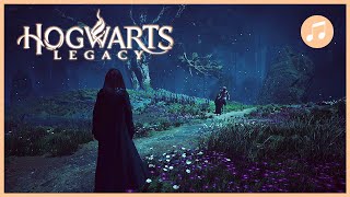 HOGWARTS LEGACY Forbidden Forest Music + Ambience | Forbidden Forest Waltz | 1 HOUR