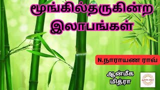 மூங்கில் தருகின்ற இலாபங்கள் || Bamboo || N.Narayan Rao