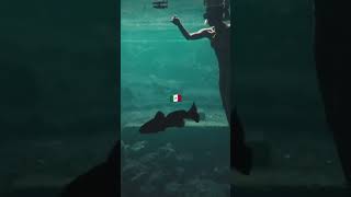 Mexico #travel #life #shorts #short #shortvideo #shortsvideo #viral #trending #gaming #love #mexico