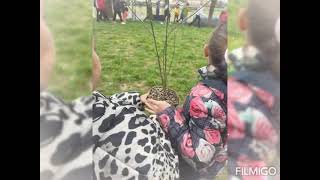 Un Albero per il Futuro