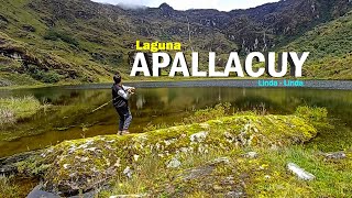 Pesca y Aventura en la laguna APALLACUY (Linda Linda)