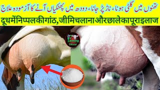 Mastitis Treatment In Cow,Buffalo|थनैला रोग का 100% घरेलू देसी उपचार|Farming Official|Udder , Saru