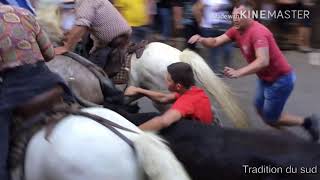 Taureaux manade labourayre castillon du Gard le 28/07/2019