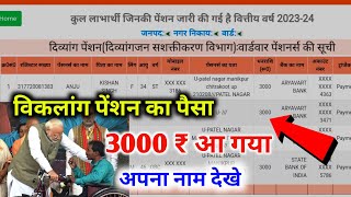 Divyang Vridha Pension paisa kaise check kare | Pension April se June Me Kab Aayegi 2024