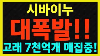 [시바이누] 도지코인 킬러!!   이제 곧 뛰어넘는다!!!