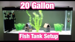 CLEAN 20 GALLON TANK SET UP