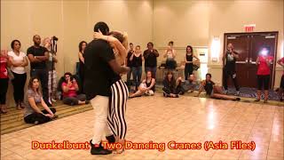 Dunkelbunt - Two Dancing Cranes (Asia Files)   танцуют: Enah & Carolina at Kizomba