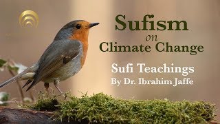 Sufism on Climate Change [Dr. Ibrahim Jaffe | Sufi Teachings]