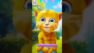 Jogo cuidar de gato Ginger