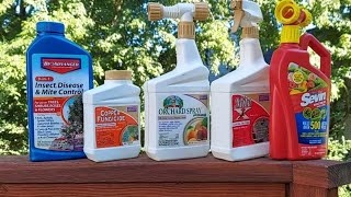 Pests and Spider Mites! control