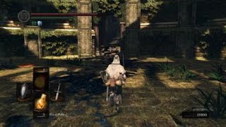 Artorias Boss fight the hard way