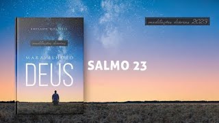 Meditações Diárias: 11 de Novembro - SALMO 23 l Maravilhoso Deus