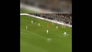 Fenerbahçe - Avustria Wien/ MHY Müthiş GoL