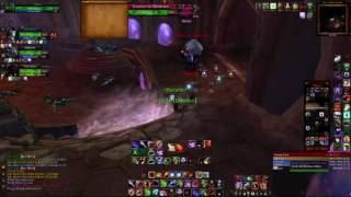 Steamycam - Shaman tank Violed hold heroic