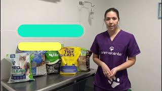 ARENA SANITARIA PARA GATOS