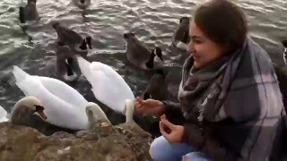 ВЛОГ ЛОНДОН #12: КОРМИМ УТОЧЕК В ПАРКЕ ВОЗЛЕ ДОМА! LONDON VLOG: FEEDING DUCKS!!!