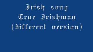 Irish song - True Irishman(different version) - WITHOUT LYRICS