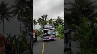 Basuri paling bikin candu bus pebepe #busmania #trending #shortvideo