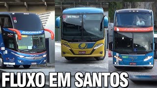 MOVIMENTAÇÃO Rodoviária de Santos :: Vissta Buss da Sampaio, New G7 da Andorinha, Gontijo etc (#13)