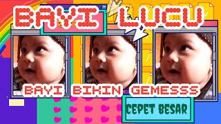 Bayi Lucu ||Bikin Gemes