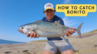 How to Catch Mini Tuna (Bonito) & Bluefish from the beach - 2024