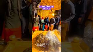 Kedarnath Garbh Grah Live Darshan 2024||#kedarnath #livedarshan #shortsfeed #ytshorts #shorts