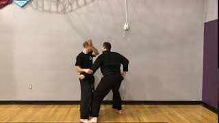 Heian Shodan Bunkai Flow Drill